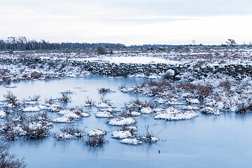 Image showing Ice covered flooded grassland