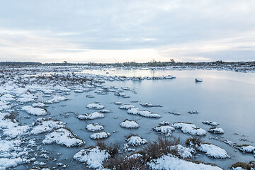 Image showing Snowy grass tufts in a flooded grassland