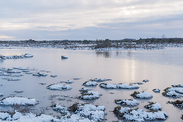 Image showing Snow covered grass tufts in a flooded grassland