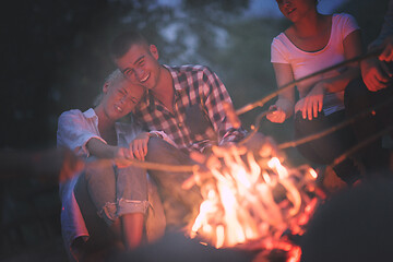 Image showing young friends relaxing around campfire