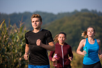 Image showing young people jogging on country road