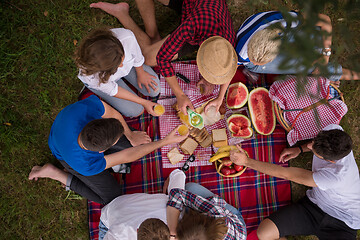 Image showing top view of group friends enjoying picnic time