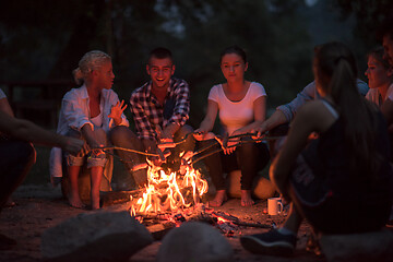 Image showing young friends relaxing around campfire