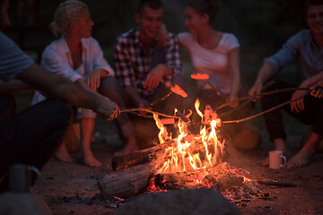 Image showing young friends relaxing around campfire