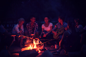 Image showing young friends relaxing around campfire