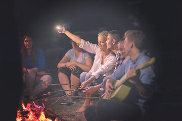 Image showing young friends relaxing around campfire