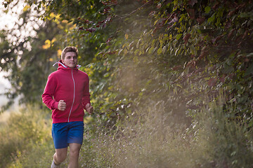 Image showing man jogging along a country road