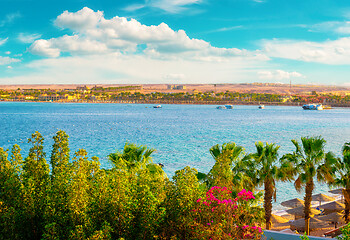 Image showing Red sea beach