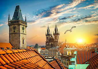 Image showing Seagull over cathedral