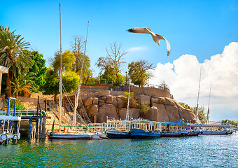 Image showing Great Nile in Aswan