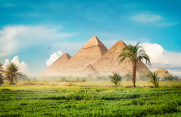 Image showing Pyramids in field