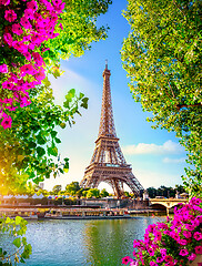 Image showing Eiffel Tower in spring