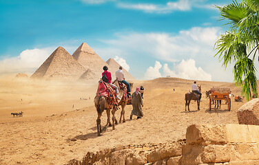 Image showing Camels in sandy desert