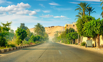 Image showing Road to Aswan