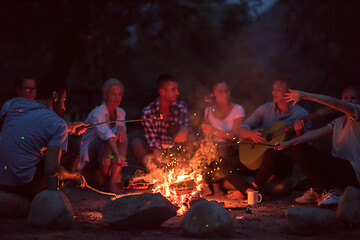 Image showing young friends relaxing around campfire