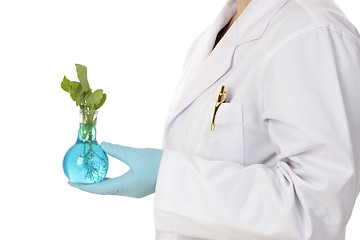 Image showing Agronomy -agricultural science