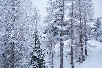 Image showing Village house hidden behind the trees