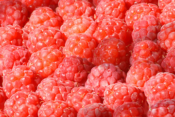 Image showing Raspberry background