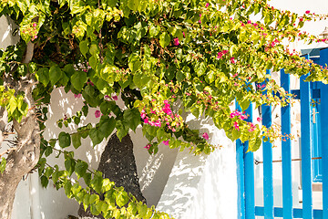 Image showing typical architecture of houses on the island of Santorini in Gre