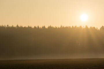 Image showing country landscape in the morning in the mist