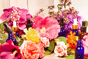 Image showing flowers and bottles of essential oils for aromatherapy