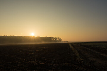 Image showing country landscape in the morning in the mist