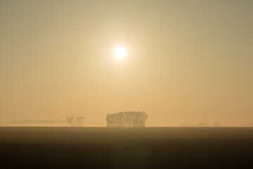 Image showing country landscape in the morning in the mist