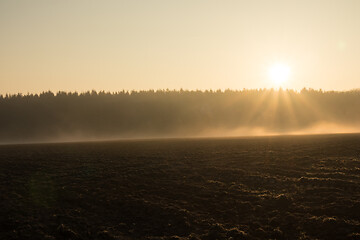 Image showing country landscape in the morning in the mist