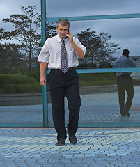 Image showing Businessman calling