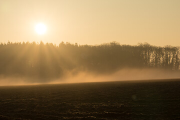 Image showing country landscape in the morning in the mist