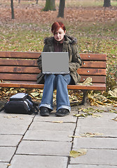 Image showing Working on a laptop