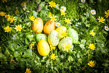 Image showing colored Easter eggs hidden in flowers and grass