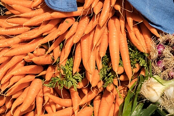 Image showing bunches of fresh carrots on a market stall