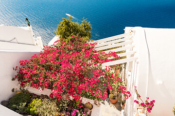 Image showing typical architecture of houses on the island of Santorini in Gre