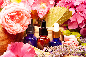 Image showing flowers and bottles of essential oils for aromatherapy