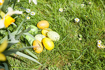 Image showing colored Easter eggs hidden in flowers and grass