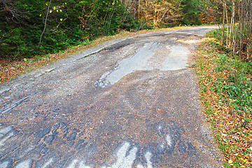 Image showing Cracked road in the forest