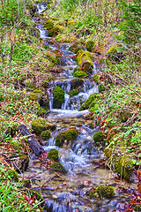 Image showing Water stream in summer forest