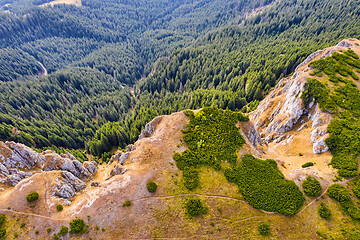 Image showing Aerial view of mountain forest