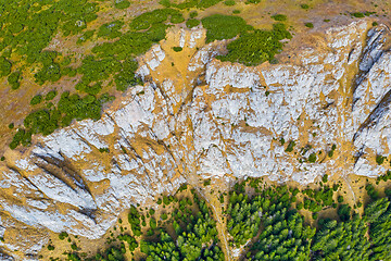 Image showing Rock above green forest