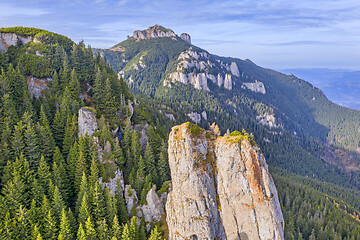 Image showing Green forest on rocky mountain