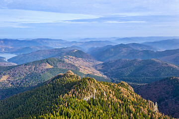 Image showing Late autumn aerial view