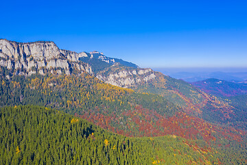 Image showing Beautiful mountain forest in autumn