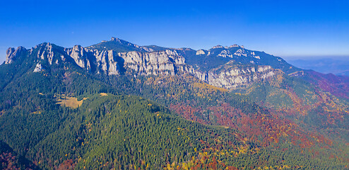 Image showing Autumn colored forest in mountains.