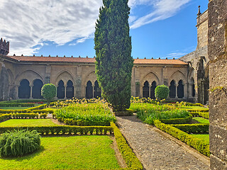 Image showing Saint Mary Rose garden of Tui