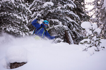 Image showing freeride skier skiing downhill