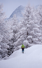 Image showing man enjoying cross country skiing