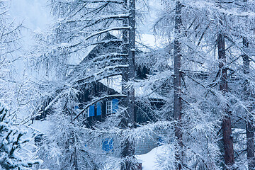 Image showing Village house hidden behind the trees