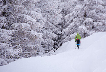 Image showing man enjoying cross country skiing