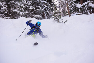 Image showing freeride skier skiing downhill